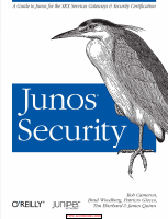 Junos Security.pdf